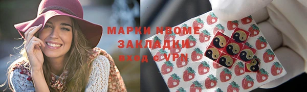 бошки Бронницы