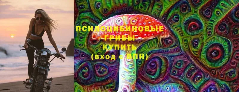 Псилоцибиновые грибы Magic Shrooms  Рубцовск 